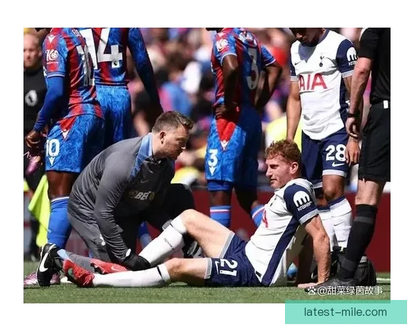 库卢塞夫斯基对阵热刺世界杯预选赛状态全面评估与前景分析